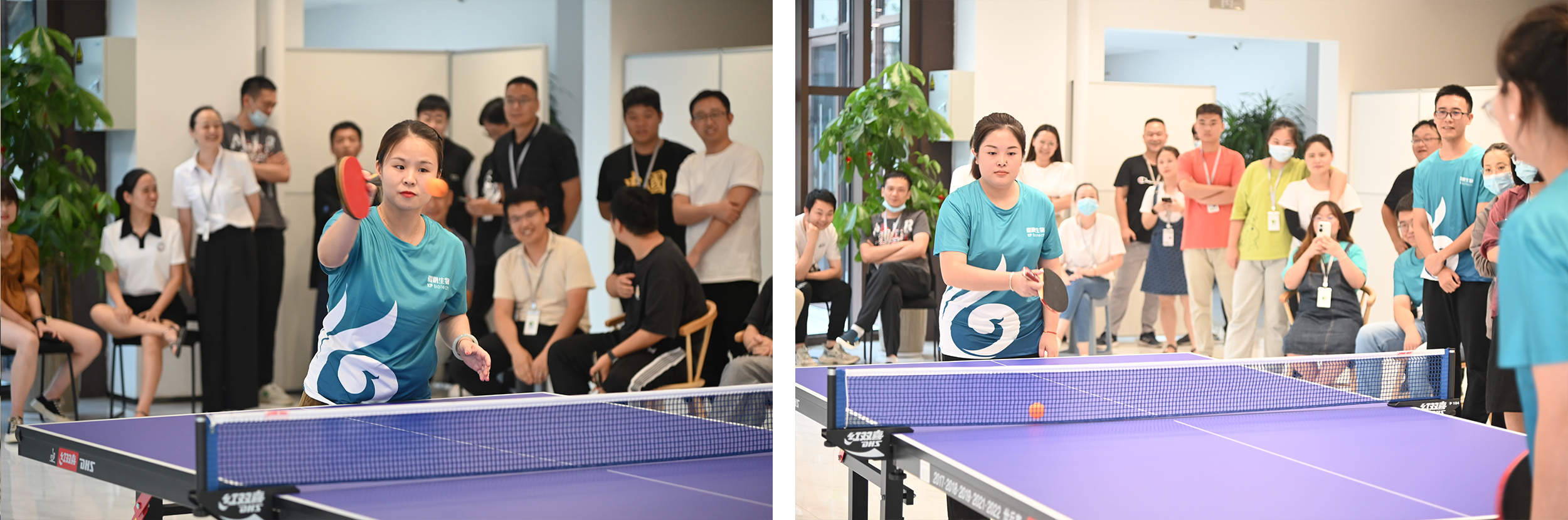 1664356917395472.jpg 1664356917395472.jpg