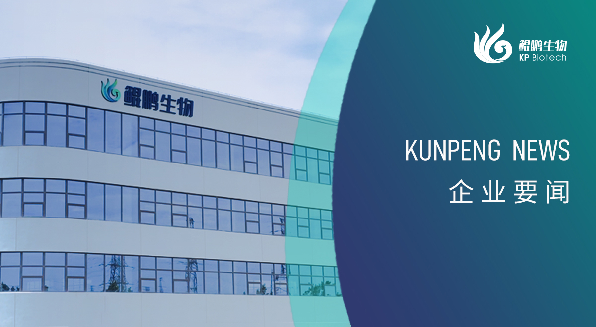 宁波明博新添两项政府荣誉认定 创新发展再获认可